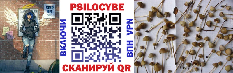 Псилоцибиновые грибы Cubensis  Ухта 